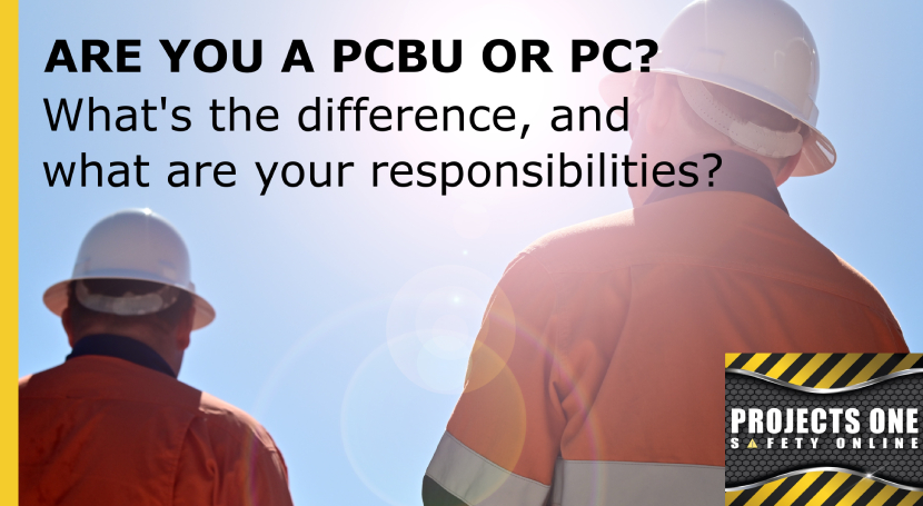 ARE YOU PCBU OR PC ?
